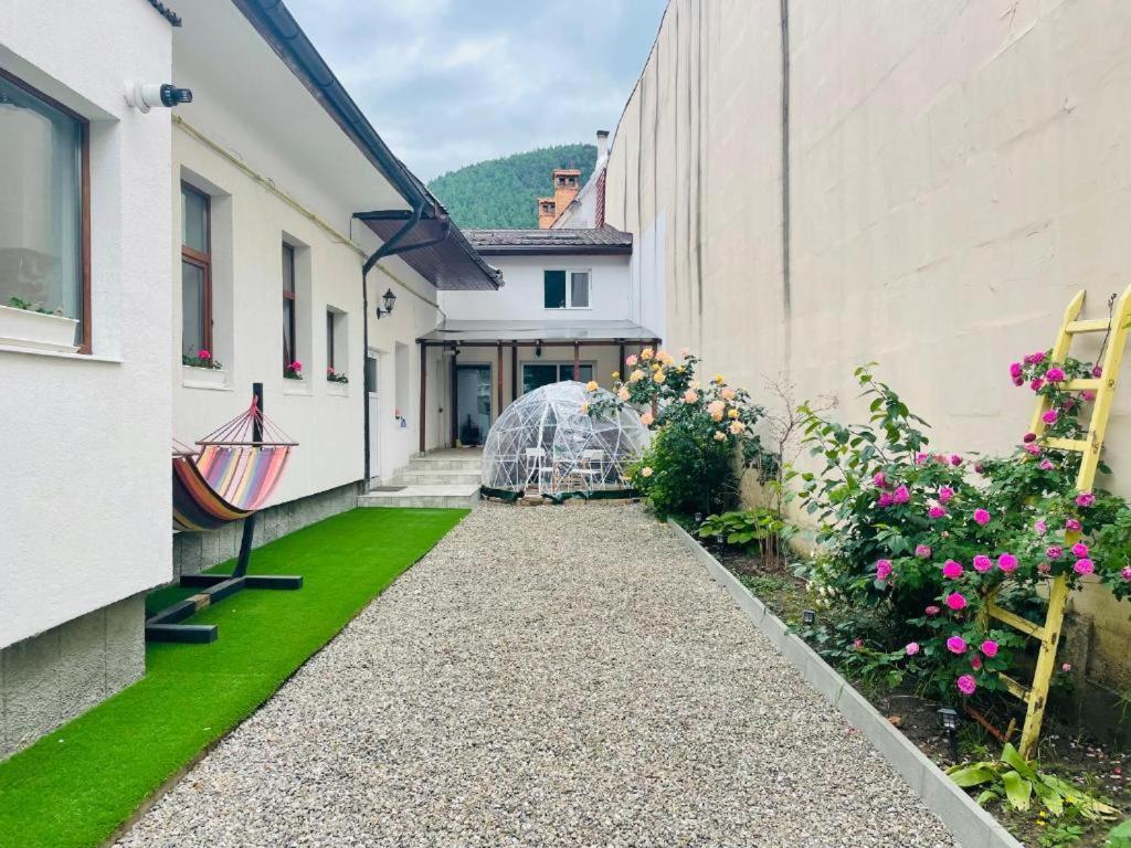 Apartament Schei Brasov-Скей Брашов Zewnętrze zdjęcie